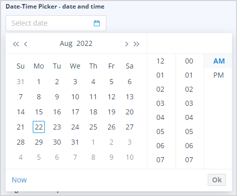 Date and time picker configuration settings