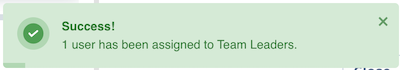 Success message confirming users were added to the permission set